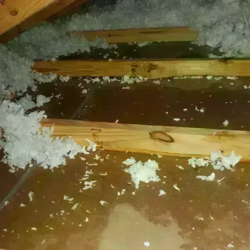 Attic Water Damage in Paddock Lake, WI