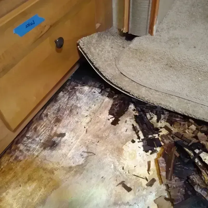 Best Wood Floor Water Damage Service in Paddock Lake, WI